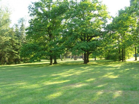 borsky-park-hriste-pro-deti